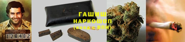 спиды Алзамай