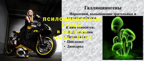 молекула духа Алексин