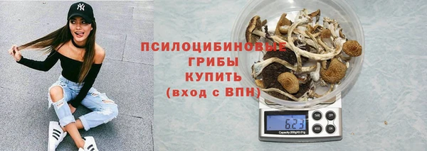 сатива Снежинск